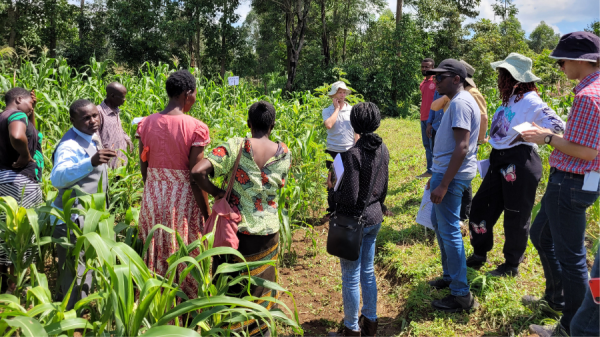 Laidlaw scholars stand among researchers in Kenya looking at a field of corn.
